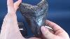 Collectible Spot Master Replicas Group Megalodon Tooth Resin Replica