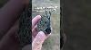 Crazy Find Have You Ever Seen A Megalodon Tooth Covered In Coral Fossils Megalodon