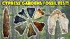 Cypress Gardens Fossil Show 2022 Epic Return