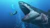 Did They Find A Living Megalodon In The Mariana Trench