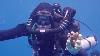 Diving For Megalodon Teeth With The Fossil Exchange Team