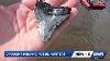 Drought Puts Peace River Fossil Hunting On The Map With Megalodon Teeth
