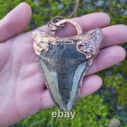 Electroformed Real MEGALODON SHARK TOOTH FOSSIL NECKLACE Statement Jewelry