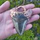 Electroformed Real Megalodon Shark Tooth Fossil Necklace Statement Jewelry