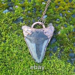 Electroformed Real MEGALODON SHARK TOOTH FOSSIL NECKLACE Statement Jewelry