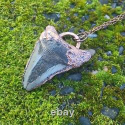 Electroformed Real MEGALODON SHARK TOOTH FOSSIL NECKLACE Statement Jewelry