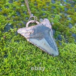 Electroformed Real MEGALODON SHARK TOOTH FOSSIL NECKLACE Statement Jewelry