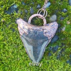 Electroformed Real MEGALODON SHARK TOOTH FOSSIL NECKLACE Statement Jewelry