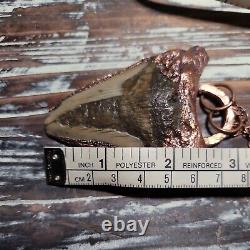 Electroformed Real MEGALODON SHARK TOOTH FOSSIL NECKLACE Statement Jewelry