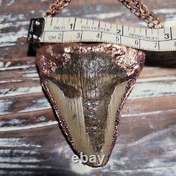 Electroformed Real MEGALODON SHARK TOOTH FOSSIL NECKLACE Statement Jewelry