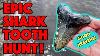 Epic 12 Minutes Of Megalodon Shark Tooth Hunting Uncut