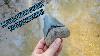Florida Megalodon Shark Tooth Hunting I Found A Huge Blue Megalodon Tooth