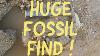 Fossil Hunting Holderness Coast Yorkshire