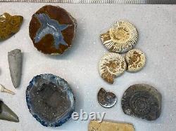 Fossil Job Lot Megalodon Shark Tooth Polished Coral Geodes Ammonites Trilobite