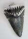 Fossil Meg Shark Tooth Pendant Megalodon Tooth, With Sterling Silver Cap