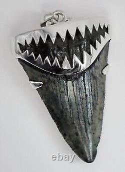 Fossil Meg Shark Tooth Pendant Megalodon Tooth, with Sterling Silver Cap