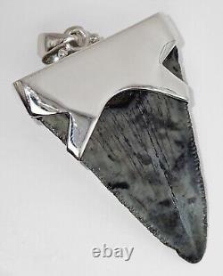 Fossil Meg Shark Tooth Pendant Megalodon Tooth, with Sterling Silver Cap