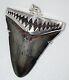 Fossil Megalodon Shark Tooth Pendant Megalodon Tooth With Sterling Silver Cap