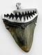 Fossil Megalodon Shark Tooth Pendant Megalodon Tooth With Sterling Silver Cap