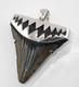 Fossil Megalodon Shark Tooth Pendant Megalodon Tooth With Sterling Silver Cap