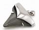 Fossil Megalodon Shark Tooth Pendant Megalodon Tooth With Sterling Silver Cap