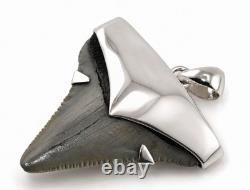 Fossil Megalodon Shark Tooth Pendant Megalodon Tooth with Sterling Silver Cap