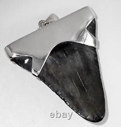 Fossil Megalodon Shark Tooth Pendant Megalodon Tooth with Sterling Silver Cap