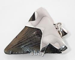 Fossil Megalodon Shark Tooth Pendant Megalodon Tooth with Sterling Silver Cap