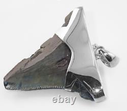 Fossil Megalodon Shark Tooth Pendant Megalodon Tooth with Sterling Silver Cap