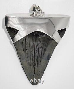 Fossil Megalodon Shark Tooth Pendant Megalodon Tooth with Sterling Silver Cap