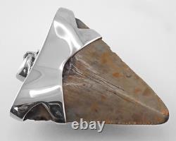 Fossil Megalodon Shark Tooth Pendant Megalodon Tooth with Sterling Silver Cap