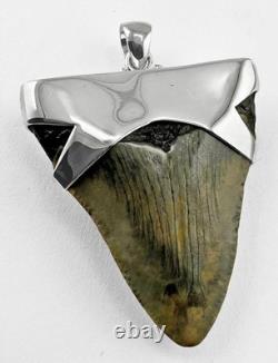 Fossil Megalodon Shark Tooth Pendant Megalodon Tooth with Sterling Silver Cap