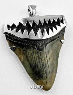 Fossil Megalodon Shark Tooth Pendant Megalodon Tooth with Sterling Silver Cap