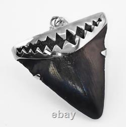 Fossil Megalodon Shark Tooth Pendant Megalodon Tooth with Sterling Silver Cap
