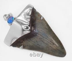 Fossil Shark Tooth Pendant Carcharocles megalodon w Silver Cap and Opal Accent