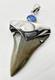 Fossil Shark Tooth Pendant Carcharocles Megalodon W Silver Cap And Opal Accent