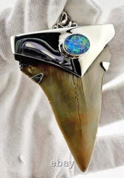 Fossil Shark Tooth Pendant Carcharocles megalodon w Silver Cap and Opal Accent