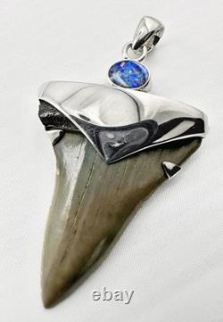 Fossil Shark Tooth Pendant Carcharocles megalodon w Silver Cap and Opal Accent