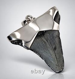 Fossil Shark Tooth Pendant Carcharocles megalodon w Silver Cap and Opal Accent