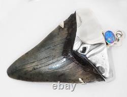 Fossil Shark Tooth Pendant Carcharocles megalodon w Silver Cap and Opal Accent