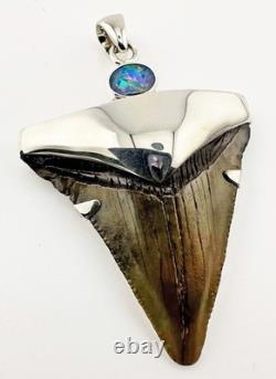 Fossil Shark Tooth Pendant Carcharocles megalodon w Silver Cap and Opal Accent