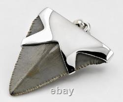 Fossil Shark Tooth Pendant Carcharocles megalodon w Silver Cap and Opal Accent
