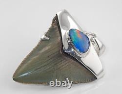 Fossil Shark Tooth Pendant Carcharocles megalodon w Silver Cap and Opal Accent