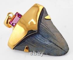 Fossil Shark Tooth Pendant Megalodon Tooth 24 K Gold Over Sterling Silver