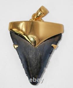 Fossil Shark Tooth Pendant Megalodon Tooth with 24 K Gold Over Sterling Silver