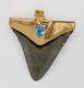 Fossil Shark Tooth Pendant Megalodon Tooth With 24 K Gold Over Sterling Silver