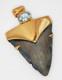 Fossil Shark Tooth Pendant Megalodon Tooth With 24 K Gold Over Sterling Silver