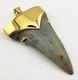 Fossil Shark Tooth Pendant Megalodon Tooth With 24 K Gold Over Sterling Silver