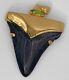 Fossil Shark Tooth Pendant Megalodon Tooth With 24 K Gold Over Sterling Silver