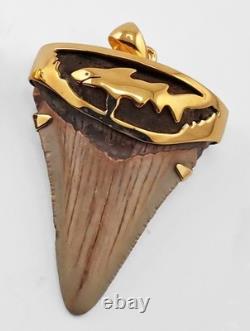 Fossil Shark Tooth Pendant Megalodon Tooth with 24 K Gold Over Sterling Silver